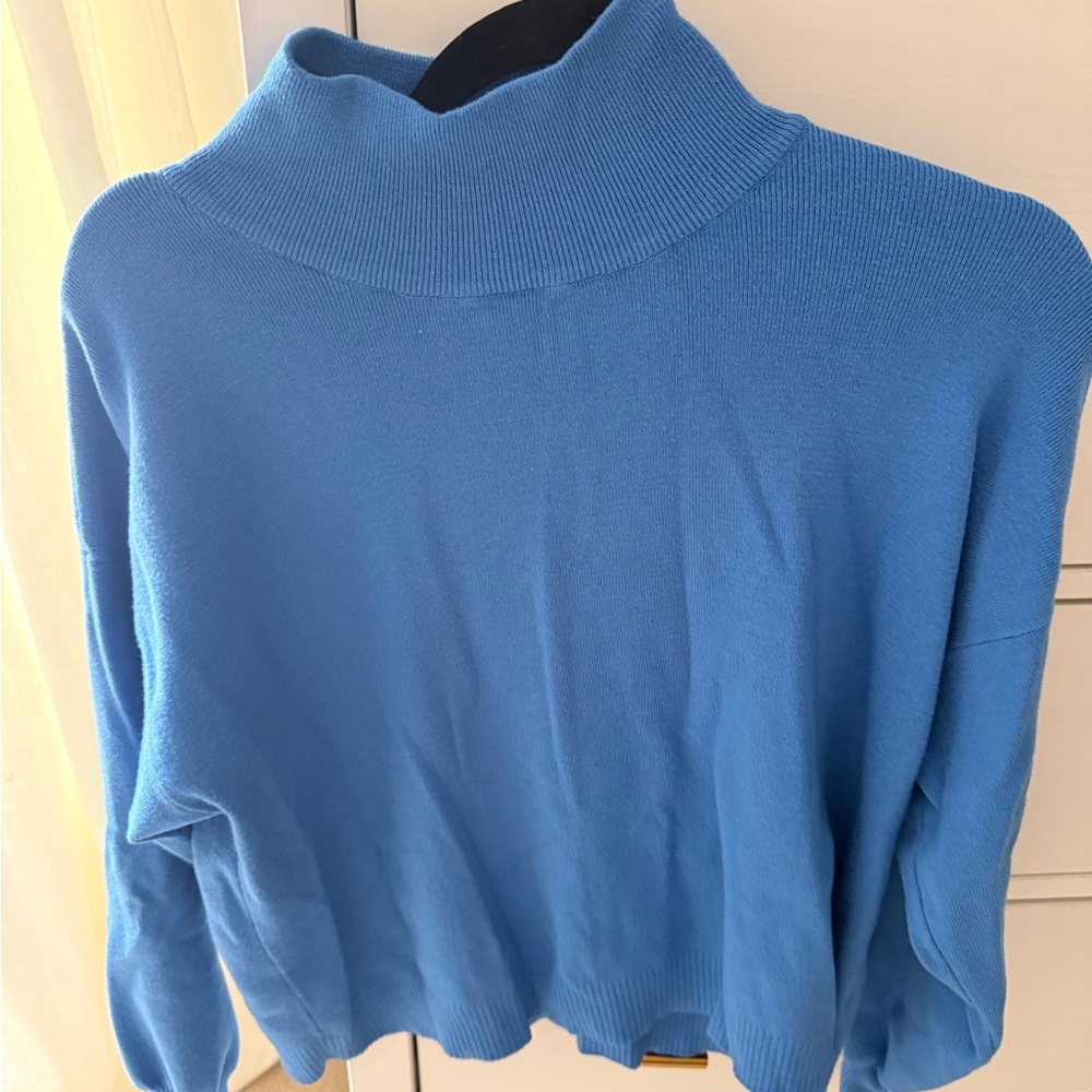 Vici Vibrant Blue Turtleneck Sweater